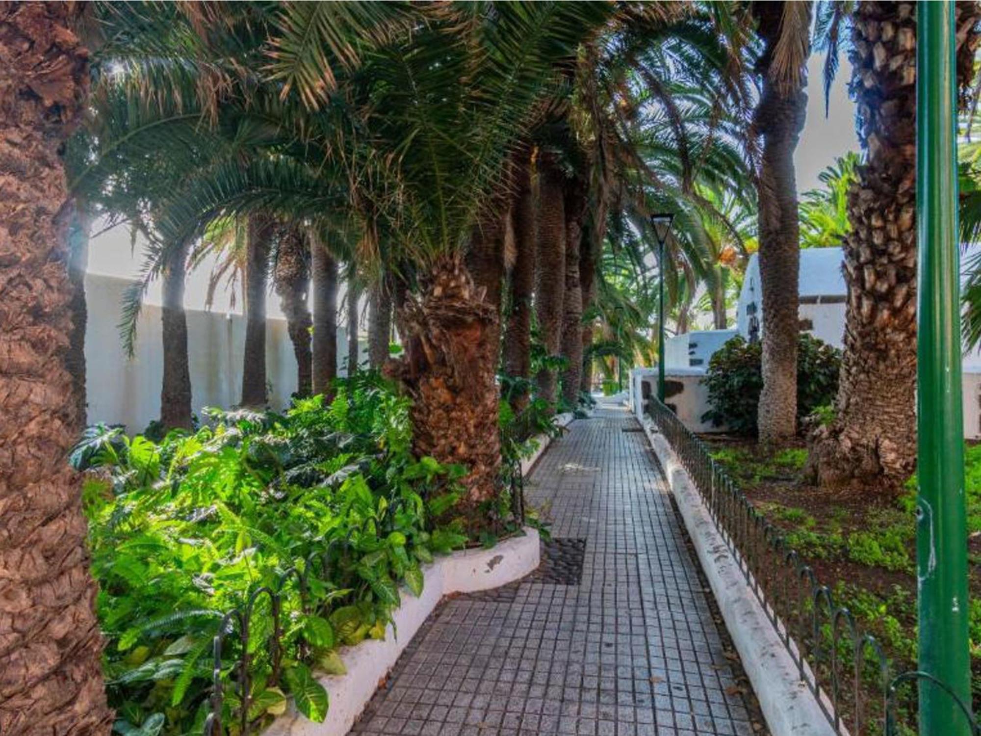 Live Puerto Valle Luz Puerto de la Cruz  Buitenkant foto